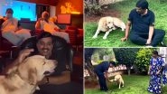 777 Charlie: Mining Baron Gali Janardhan Reddy Watches Rakshit Shetty&rsquo;s Film With His Pet Dog