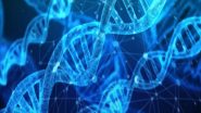 Science News | Scientists Unravel Mystery of Genes Vital for Brain Development