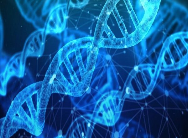 Science News | Scientists Unravel Mystery of Genes Vital for Brain Development