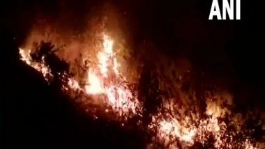 India News | Fire Rages in Forest Area of Uttarakhand's Tehri Garhwal