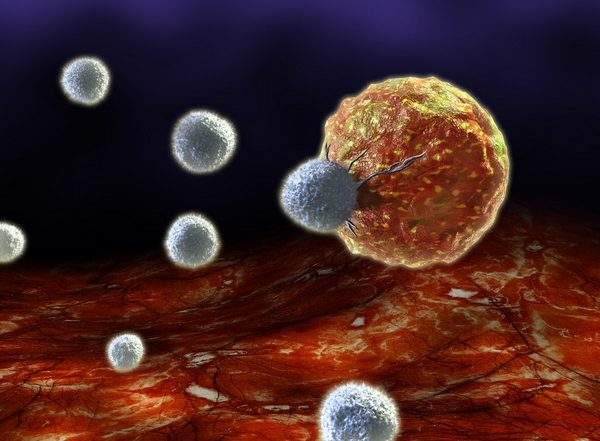 Health News | Study: A Potential Target for Future Therapies to Treat Inflammatory Diseases