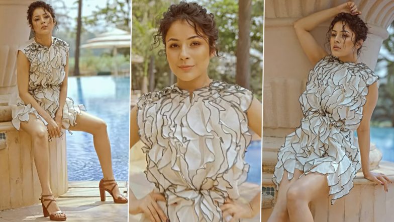 Shehnaaz Gill’s BTS Video in an Organza Ruffle Dress From Dabboo Ratnani’s Photoshoot Is LIT – WATCH