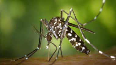 Scientists Develop 3D-Printed Wearable Ring to Repel Mosquitoes and Other Insects