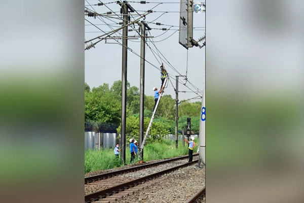 India News | Metro Services on Blue Line Delayed Due to Damage to Over Head Electrification Wire
