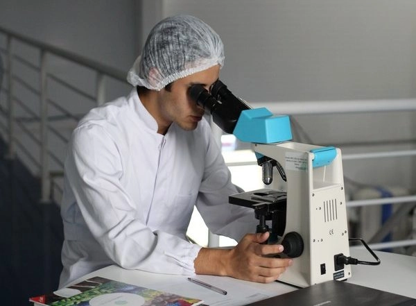 Science News | Research Shows That Scientists Serendipitously Discover Rare Cluster Compound