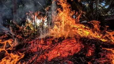 World News | Over 14,430 Acres Damaged Due to Wildfires in Khyber Pakhtunkhwa in Fortnight: Report