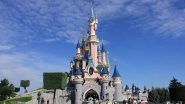 Paris&rsquo; Disneyland Faces Flak After Employee Ruins Marriage Proposal (Watch Video)