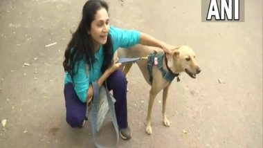 India News | Pet Dogs to Be Banned in Bengaluru's Cubbon Park, Animal Lovers Irked