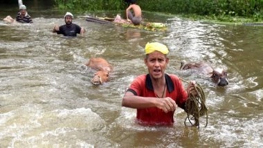 India News | Flood, Landslides Claim 71 Lives So Far in Assam, 33 Districts Affected