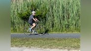 World News | Biden Falls off Bike as He Rides Near Beach Home in Delaware