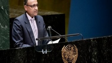 UNGA Adopts Resolution on Multilingualism, Mentions Hindi Language for First Time