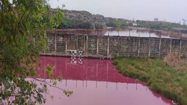 Chennai: Lake Water Turns Pink After Methane Contamination in Perungudi, Locals Demand Action