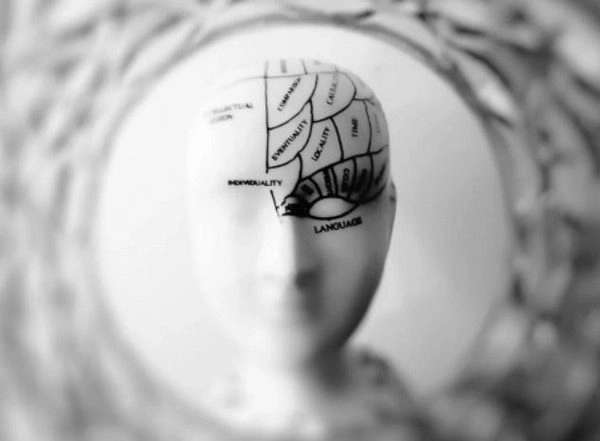 Science News | Research Explores Why the Memory of Fear is Seared in Brains