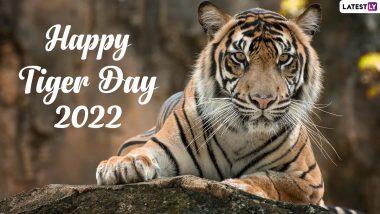 International Tiger Day 2022: Twitterati Reacts and Shares Messages To Conserve the Species on Global Tiger Day