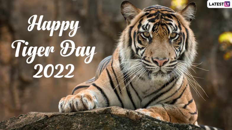 International Tiger Day 2022: Twitterati Reacts and Shares Messages To Conserve the Species on Global Tiger Day | ???? LatestLY