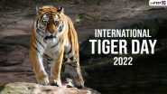International Tiger Day 2022 Images and HD Wallpapers for Free Download Online: Wish Happy Tiger Day With Quotes, Messages and Greetings