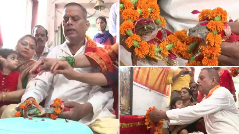 Frog Wedding Organised in Gorakhpur To 'Please Rain Gods'