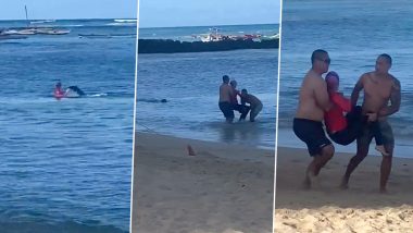 US Swimmer Injured By Hawaiian Monk Seal With Pup in Waikiki; Watch Video