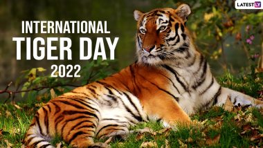 International Tiger Day 2022 Quotes & Wallpapers: Messages, Sayings, Thoughts, SMS and HD Pictures To Make People Aware About the Dangers Faced by the Largest Living Cat Species