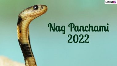 Nag Panchami 2022 Date & Significance: Know Rituals, Shubh Tithi, Different Serpent Gods and Nagula Chavithi Customs To Celebrate the Festivals of Snakes