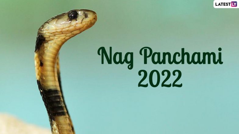 Nag Panchami 2022 Date & Significance: Know Rituals, Shubh Tithi, Different Serpent Gods and Nagula Chavithi Customs To Celebrate the Festivals of Snakes | ???????? LatestLY