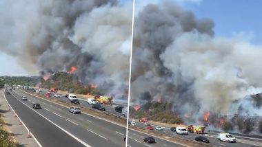 UK Heatwave: Large Wildfire Breaks Out Along Highway in Dartford; Major Incident Declared