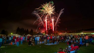 4th of July 2022 Fireworks Near Me: From Boston to Washington, 5 Places To Enjoy the US Independence Day Celebrations