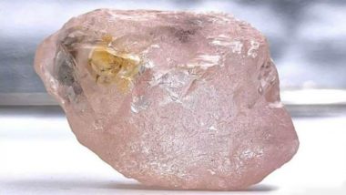 Largest Pink Diamond Lulo Rose Ever Found in 300 Years! Angola Mining Company Unearths The Rare 170-Carat Gemstone (See Viral Pics & Videos)