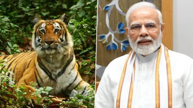 International Tiger Day 2022: PM Narendra Modi Lauds People, Organisations Working To Protect Tigers Around World