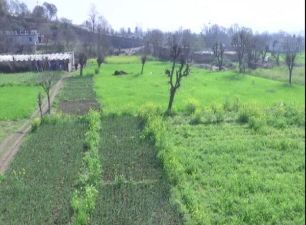 India News | J-K Sees Rapid Growth of Agriculture Entrepreneurs