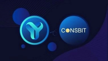 Business News | YES WORLD Token is TOP Gainer, Up 4900 Per Cent in Just 24 Hours! Highest Volume for a Newly Listed Token