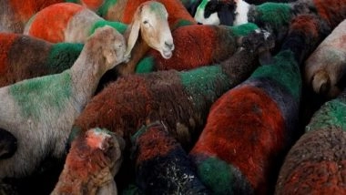 World News | Kabul Residents Complains of Increased Trash Across City After Eid-al Adha