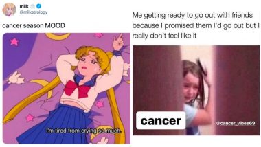 Cancer Zodiac Sign Memes: Funny Jokes and Images To Send to Your Friends  Who Are Born With This Sun Sign | 👍 LatestLY