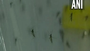 India News | ICMR-VCRC Develops Special Mosquitoes to Control Dengue, Chikungunya