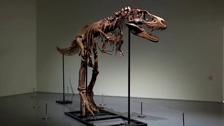 Rarest of All! 77-Million-Year-Old Dinosaur Skeleton Sold for $6.1 Million at New York's Sotheby (Watch Video)