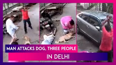 Man Smashes Dog’s Head, Attacks Neighbours In Delhi’s Paschim Vihar Colony Over ‘Barking’