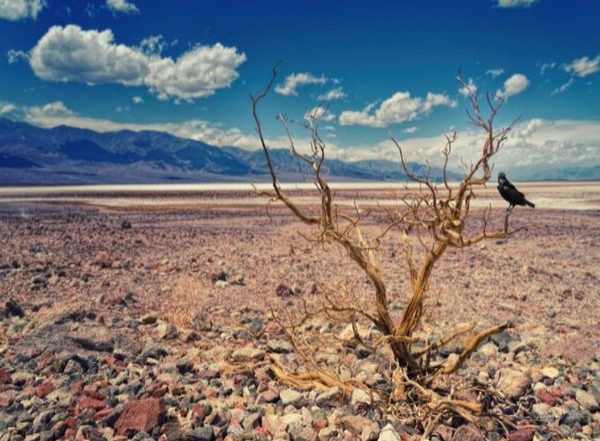 World News | Severe Drought Displaces over 100,000 Somalis in June