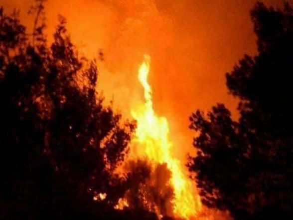 World News | Over 500 Firefighters Battle Wildfire to Protect Iconic Trees in US Yosemite National Park - Vimarsana News