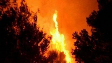 World News | Wildfires in SW France Force 6,000 Campers to Evacuate