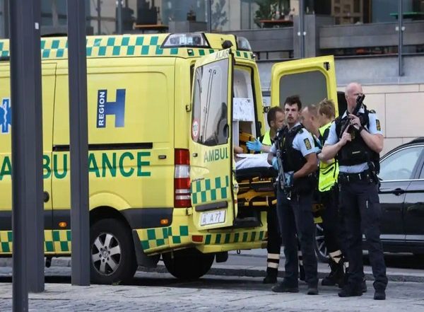 Denmark Shooting: 3 Killed, 3 Critically Injured After Shooting Inside the Field's Shopping Mall in Copenhagen