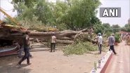 India News | Child Killed as Tree Falls at School in Chandigarh