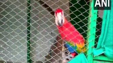 India News | Dozens Exotic Animals Found at Chikoti Praveen's Farmhouse in Telangana