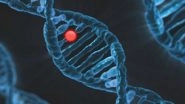 Science News | Genetic Testing Can Be Beneficial for Depression Patients, Suggests Study