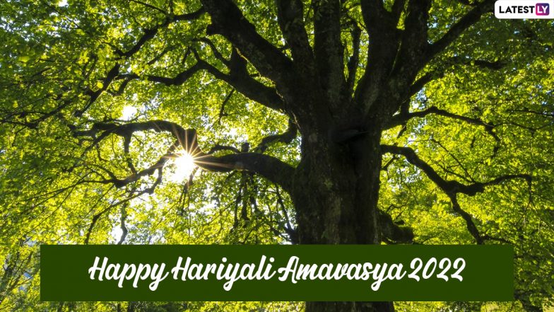 Hariyali Amavasya 2022 Greetings: Share HD Images, Wishes, Messages, SMS, Texts And Quotes To Celebrate the Festival of Greenery 