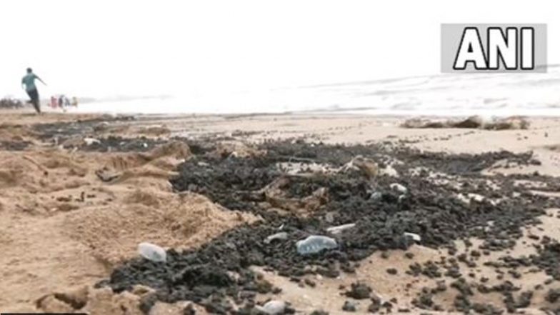 Jellyfish Spotted at Juhu Beach in Mumbai, Tar Balls with Garbage Wash Ashore (Watch Video)