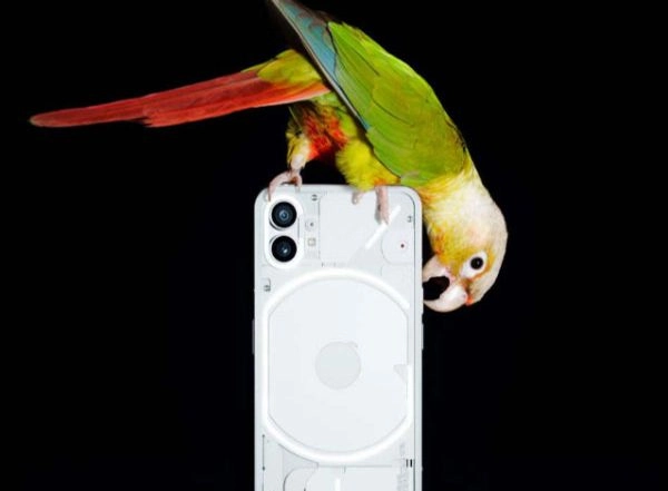 Tech News | Nothing Phone (1) Reveals Camera Specs and Samples Ahead of July 12 Launch