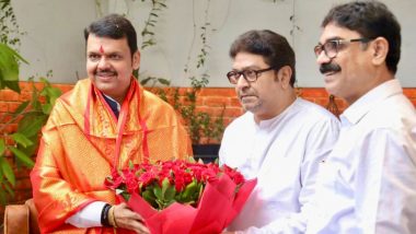 Maharashtra Deputy CM Devendra Fadnavis Meets MNS Chief Raj Thackeray in Mumbai