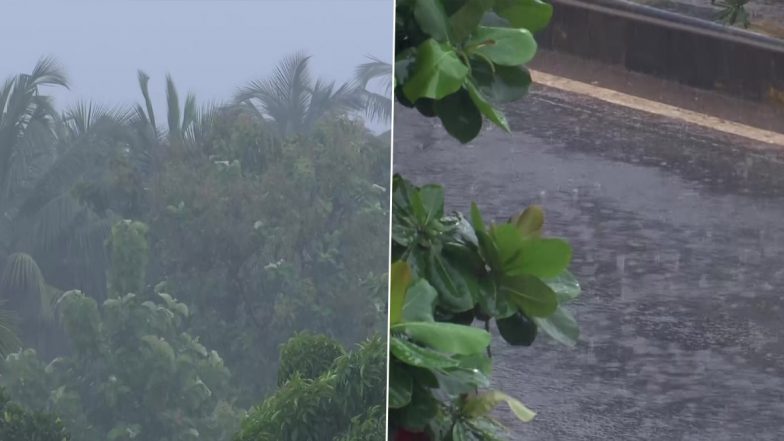 Karnataka Rains: Holiday Declared Throughout Mangaluru After Rains With Thunderstorms and Lightning Lashes City