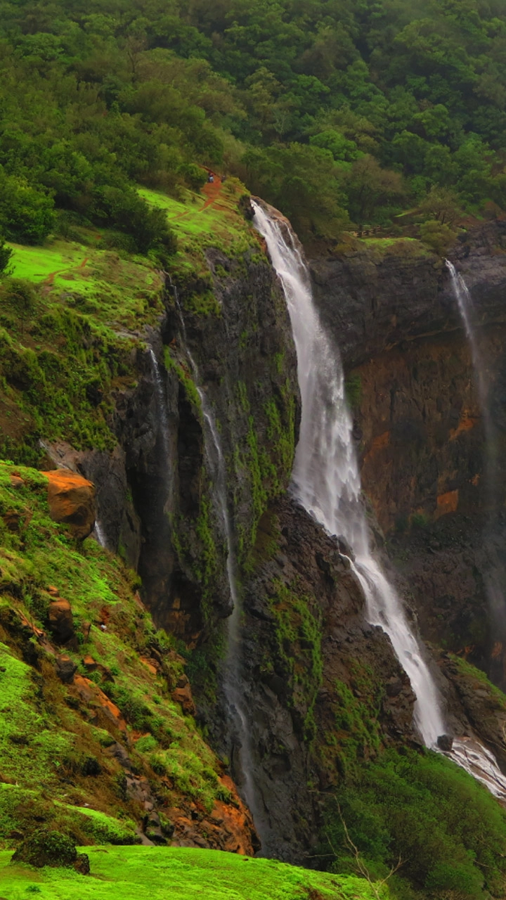 National Picnic Month: 6 Places Near Mumbai That Are Perfect for Quick Vacay in July