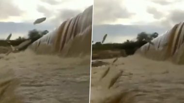 Video of Shoal of Fish Squiggling Out of Flood Water in Pocharam Dam Goes Viral; Watch The Incredible Scene 